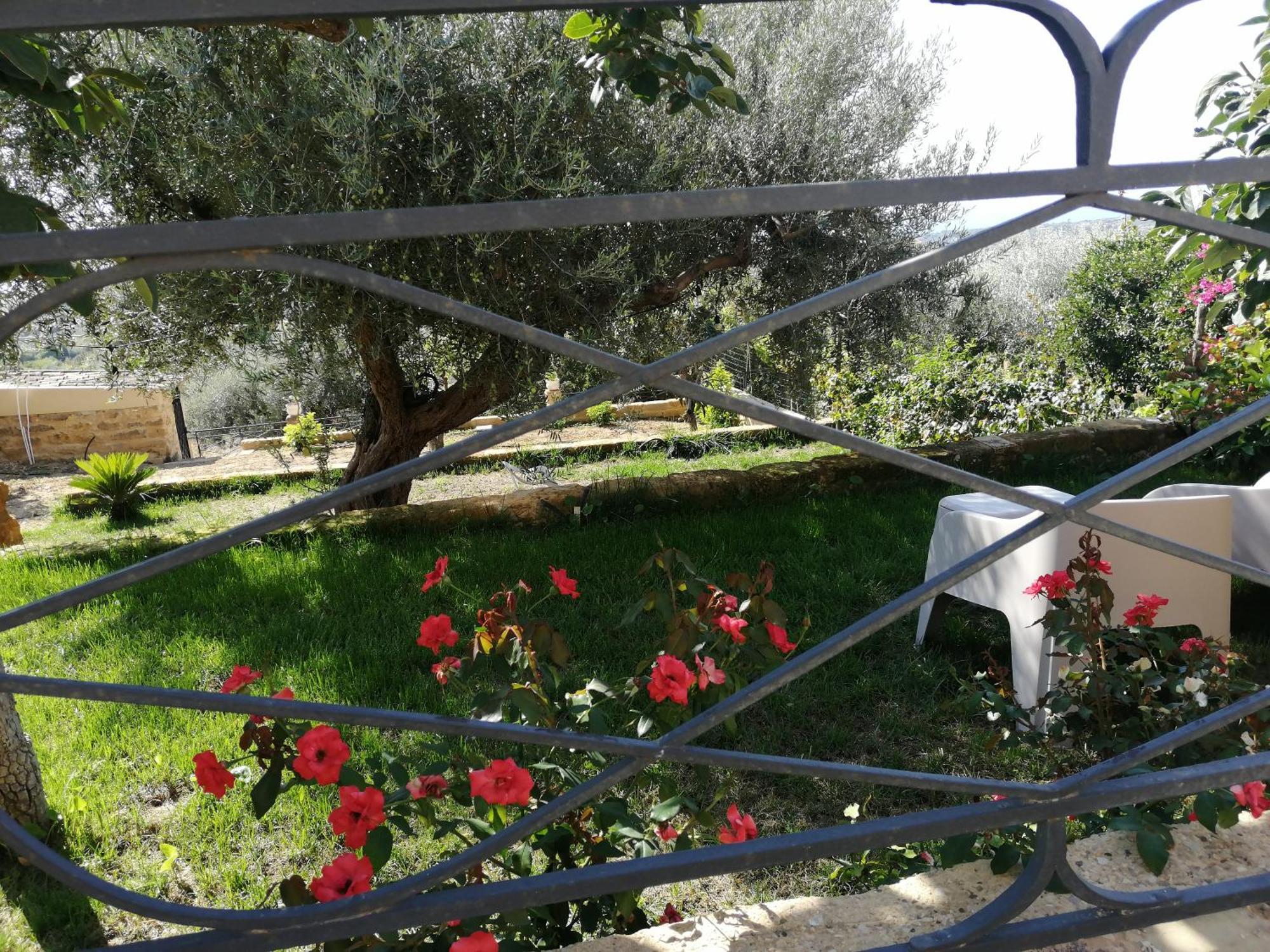 A Casa Di Mammi Nella Valle Dei Templi アグリジェント 部屋 写真